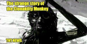 The strange story of the Clonakilty Monkey